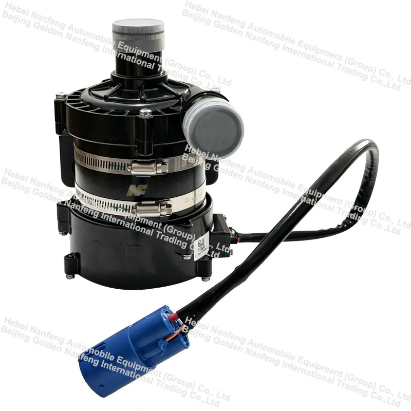 product-800-800 product-800-800