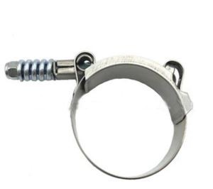 T-Bolt Heavy Duty Clamp with Small Spring